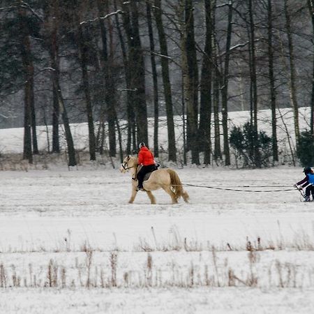 Kolorowe Wzgorze Agroturystyka I Konie Trojanow Eksteriør bilde