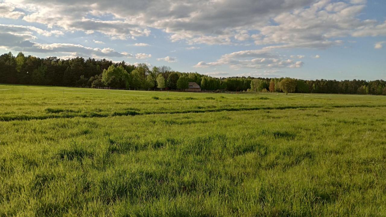 Kolorowe Wzgorze Agroturystyka I Konie Trojanow Eksteriør bilde