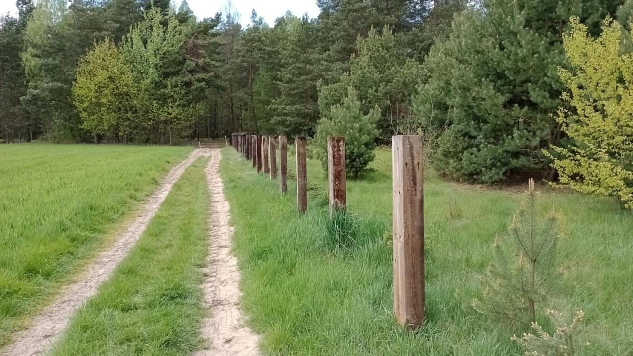 Kolorowe Wzgorze Agroturystyka I Konie Trojanow Eksteriør bilde